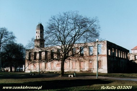 Zamek w Strzelcach Opolskich