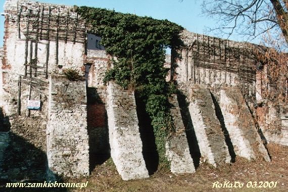 Zamek w Strzelcach Opolskich