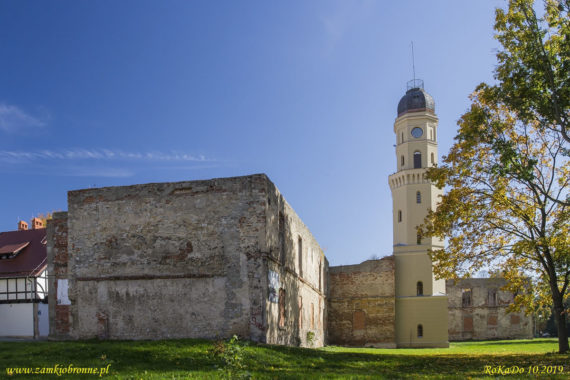 Zamek w Strzelcach Opolskich
