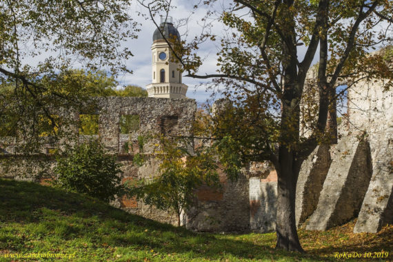 Zamek w Strzelcach Opolskich