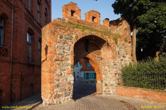 Zamek w Toruniu