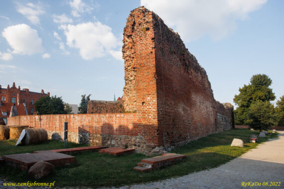 Zamek w Toruniu