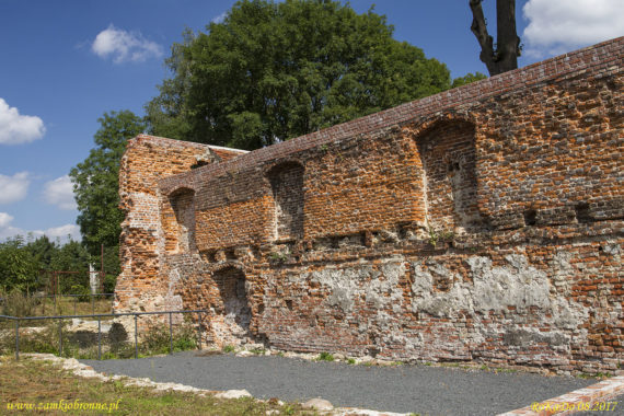 Ruiny zamku w Ujeździe