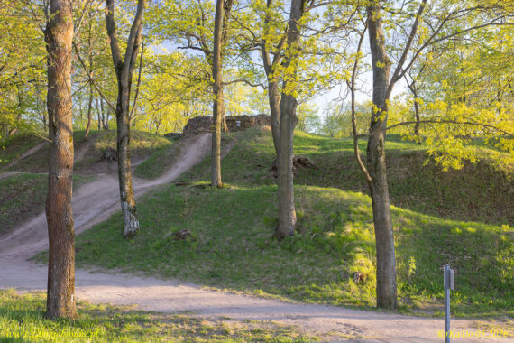 Zamek w Wąbrzeźnie