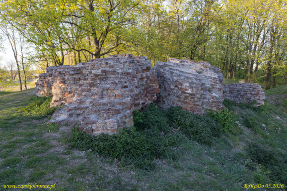 Zamek w Wąbrzeźnie