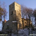 Zamek Tropsztyn w Wytrzyszczce