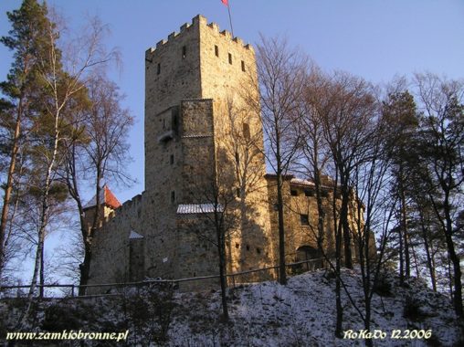 Zamek Tropsztyn w Wytrzyszczce