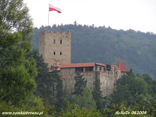 Zamek Tropsztyn w Wytrzyszczce