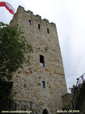 Zamek Tropsztyn w Wytrzyszczce