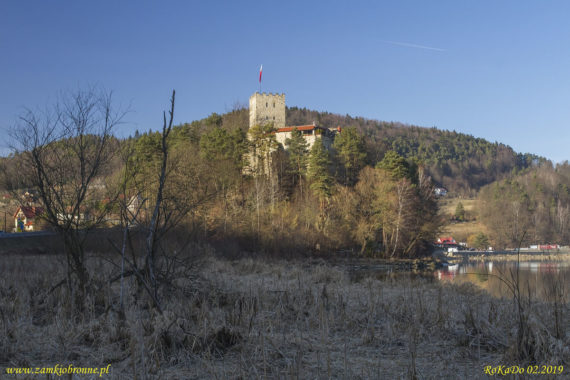 Zamek Tropsztyn w Wytrzyszczce