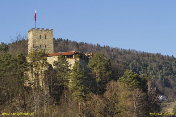 Zamek Tropsztyn w Wytrzyszczce