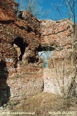 Ruiny zamku Złotoria