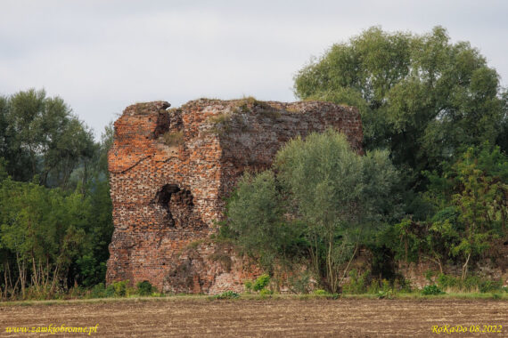 Ruiny zamku Złotoria