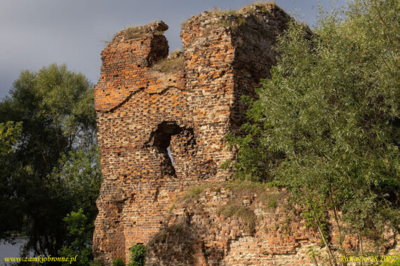 Ruiny zamku Złotoria
