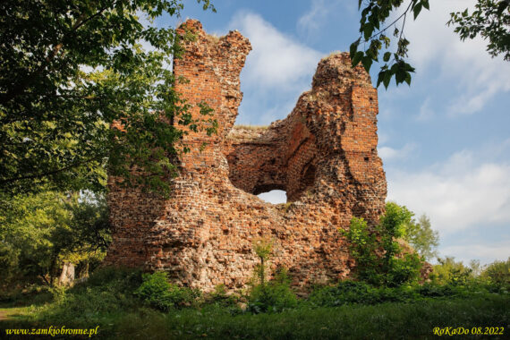 Ruiny zamku Złotoria