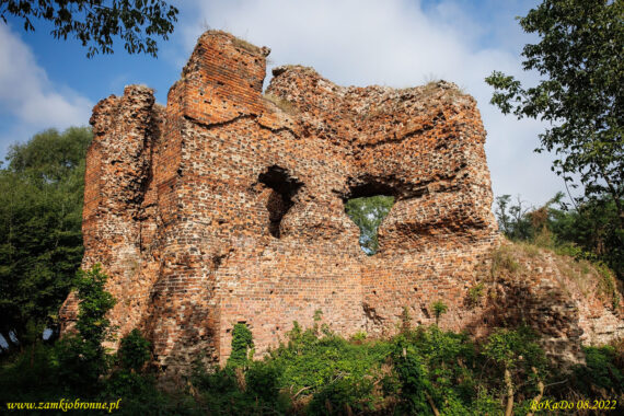 Ruiny zamku Złotoria