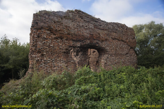 Ruiny zamku Złotoria