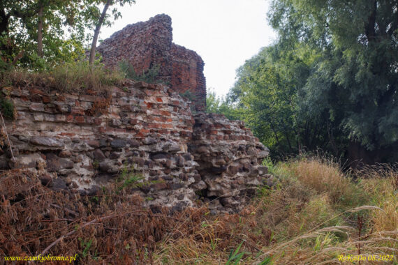 Ruiny zamku Złotoria