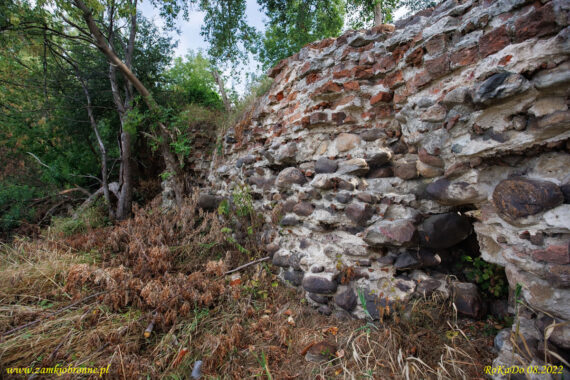 Ruiny zamku Złotoria