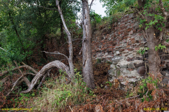 Ruiny zamku Złotoria