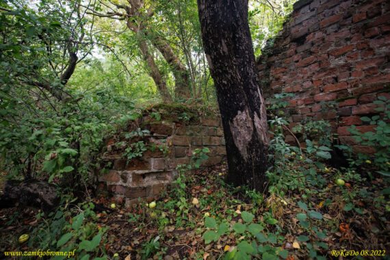 Ruiny zamku Złotoria