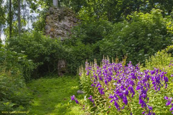 Zamek Amboten w Embute