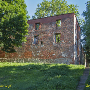 Zamek w Grobina