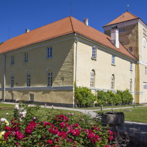 Zamek w Windawie