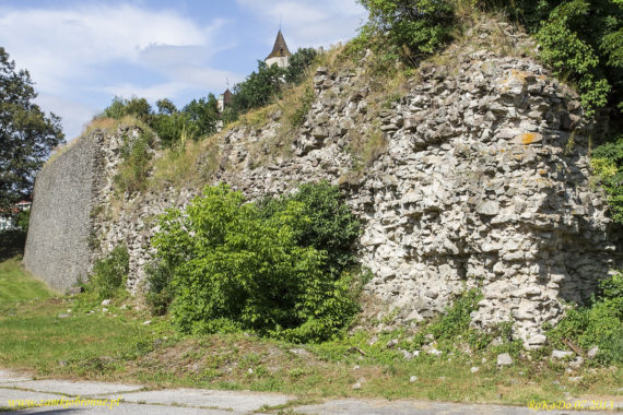 Zwoleń mury miejskie bastion zachodni