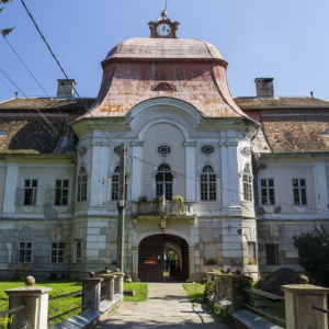 Zamek w Gornești