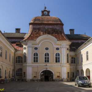 Zamek w Gornești