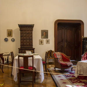 Zamek w Gornești