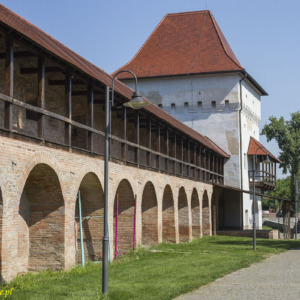 Twierdza w Targu Mures bastion bramny