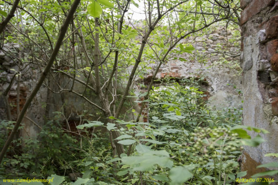 Trzebieszowice Czerwony Dwór wieża obronno-mieszkalna