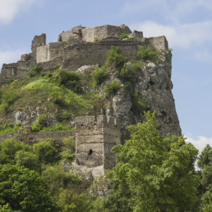 Zamek Dziewin