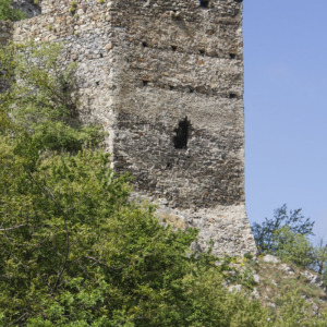 Zamek Dziewin