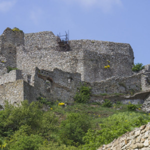Zamek Dziewin