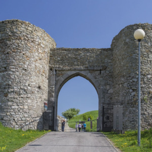 Zamek Dziewin