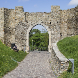 Zamek Dziewin