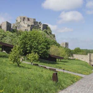 Zamek Dziewin