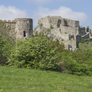 Zamek Dziewin