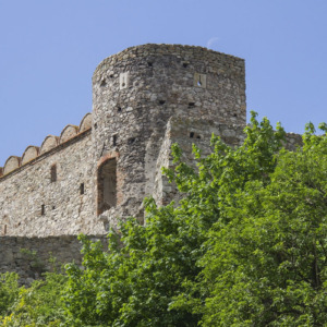 Zamek Dziewin