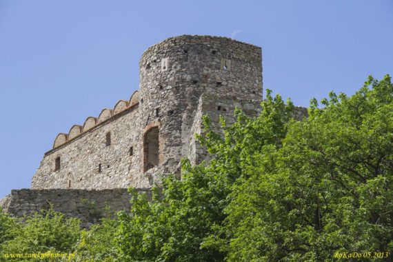 Zamek Dziewin