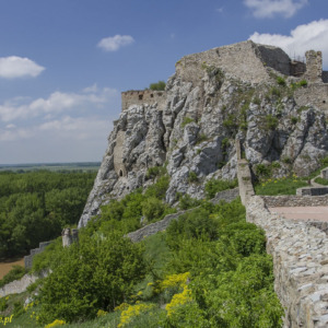 Zamek Dziewin