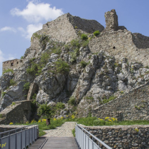 Zamek Dziewin