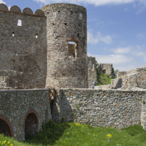 Zamek Dziewin