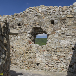 Zamek Dziewin