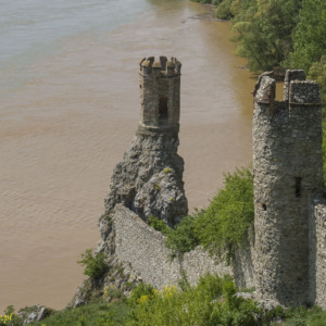Zamek Dziewin