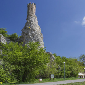 Zamek Dziewin