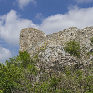 Zamek Dziewin